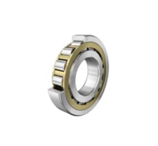 NJ348-EM1-cylindriskt rullager